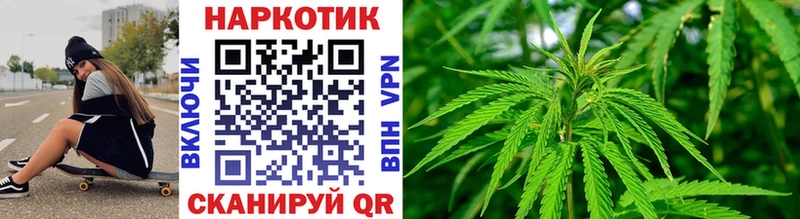 ГАШ Лодейное Поле