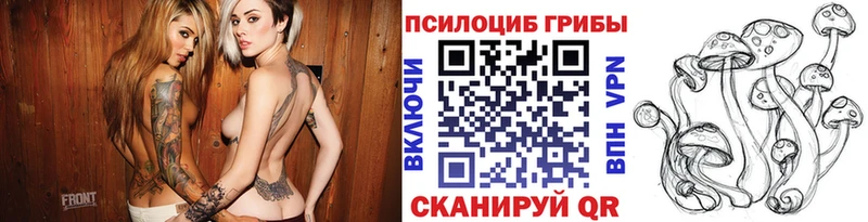 Купить закладки  Лодейное Поле  Псилоцибиновые грибы Magic Shrooms 